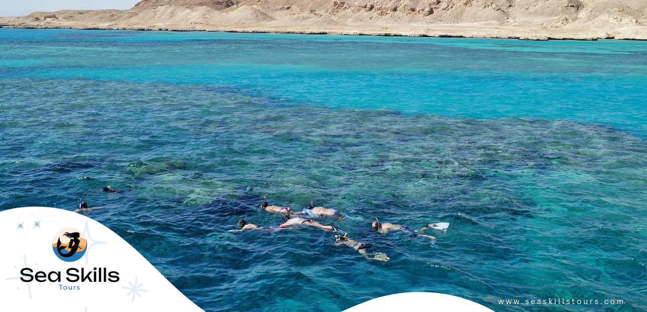 Exploring the Underwater Wonders: Scuba Diving Excursions and Snorkeling Day Trips in Hurghada with Sea Skills