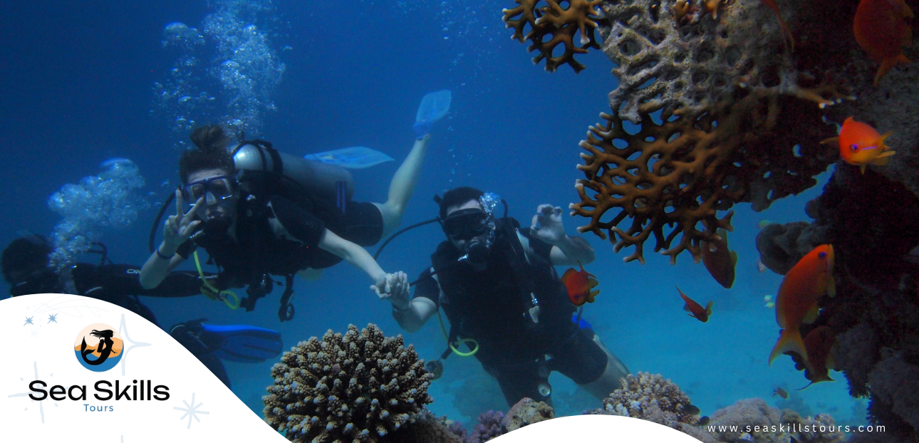 Mastering the Depths: Your Guide to Open Water Diver Certification